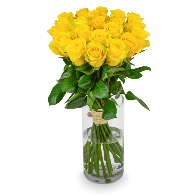 Bouquet of yellow roses